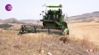 Tunisia seeking wheat self-sufficiency to tackle food shortages