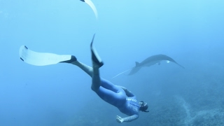 Freediving in Bali