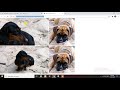 image zoom master jquery html with source code available