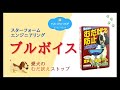 【愛犬のむだ吠えを防止】ブルボイス（スターフォームエンジニアリング）