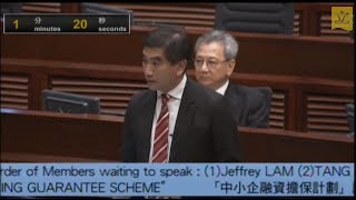 立法會會議 (2012/12/19) - IV. 議員議案: 3. 中小企融資擔保計劃(第一部分)