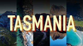 I fell In love in Tasmania! 10 day road trip around Tasmania