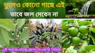 এই গরমে ভুলেও কোন গাছে এইভাবে জল দেবেন না ||গাছে জল দেওয়ার সঠিক নিয়ম/Methods of watering plants