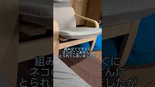 【IKEA】ポエングアームチェアの使い方が○○だった#shorts