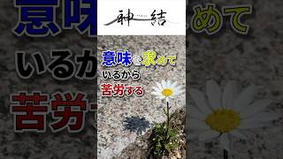 【#shorts】意味を求めているから苦労する