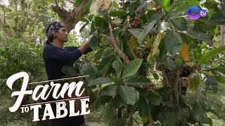 Farm To Table: Kapeng Barako 101 in Ibaan, Batangas Urban Farm!