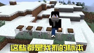 我的世界Mod：把苦力怕制作成標本？這可能是苦力怕最慘的壹天！