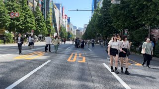 秋葉原歩行者天国の散歩　Akihabara pedestrian paradise walk 2024/05/05