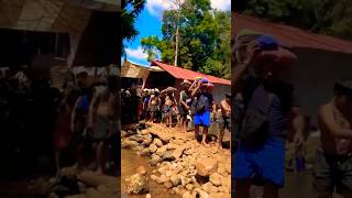 Pamba/Sabarimala Ayyappa Hills Pilgrimage/Pallikkattu Sabarimalaikku Song #shorts #thelastcholas