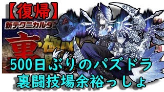 【パズドラ】俺とリーチェの初めては裏闘技場