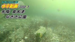 【081】大阪 泉大津 なぎさ公園／釣り場の水中映像 GoPro撮影