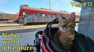 Nala cat makes it to ITALY 😻❤️  VLOG #71