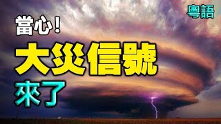 🔥🔥不尋常❗竹子遍地開花、北京四月飄雪 ❗當心！大災就在眼前❗