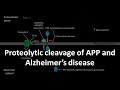 Alzheimer's disease