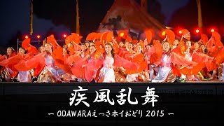 [4K] 疾風乱舞 – ODAWARAえっさホイおどり2015 – | Yosakoi Performance Team \