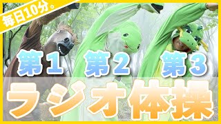 第14回【ラジオ体操第一第二第三】毎日10分で運動不足解消！