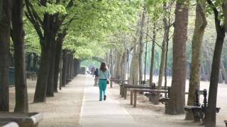 Printemps 2011 Le Jardin du Luxembourg (Une réalisation de Atilio)