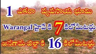 1 Acer  వ్యవసాయ భూమి అమ్మకానికి ఉంది || జనగామ జిల్లా కు దగ్గర్లో || రఘునాథపల్లి మండలం ||