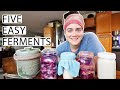 Ferment With Me | 5 Easy Ferments | Fermented Homestead