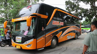 Klakson Telolet dan Warna Warni Subur Jaya | semua bus baru keluar