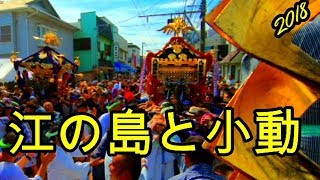 30年  江ノ島  天王祭  本社神輿  江の島と小動 　連合渡御　迫力満点です。