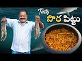 సొర పిట్టు || Scrambled Fish Sora Puttu || Baby Shark Recipe