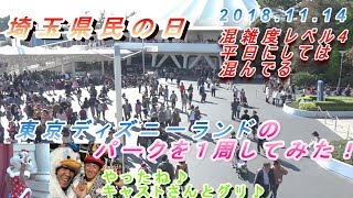 【平日にしては混んでる】埼玉県民の日の東京ディズニーランドのパークを１周してみた。ディズニークリスマス2018