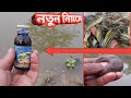 Fish Tangra Bait | Tengra and Jeol are the best medicine for fishing in rivers