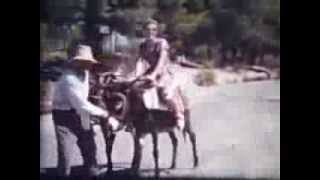 Christine and Peter Hall on holiday in Athens Greece 1962 cine film -Emmanuel Vourekas.