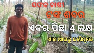 ସଫଳ ଯୁବ  ପୋଟଳ ଚାଷୀ||Successful Pointed  guard Farmer ||potala chasa