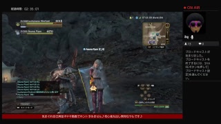 意味が解らないままレベルが…（DDON）#341  メンテ後の気まぐれ自己満足ボヤキ動画♪