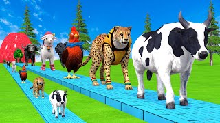 Paint \u0026 Animals Cow,Leopards,Elephant,Lion,Tiger,Dinosaur, Fountain Crossing Transformation Cartoon