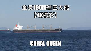 全長190m準巨大船【4K撮影】CORAL QUEEN