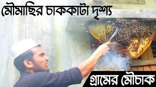 গ্রামের মৌমাছির চাক কাটা দেখুন || চাক কাটা দেখে অবাক হয়ে যাবে || The bee's dazzling view