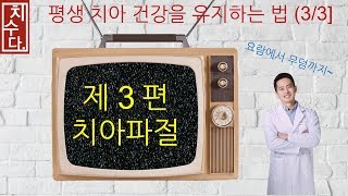 [치수다] 평생 치아건강을 유지하는 방법 (3/3) 치아파절편