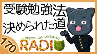 猫流受験勉強法／決められた道を歩く【猫犬田実彦#170】