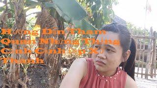 Hướng Dẫn Tham Quan Những Thắng Cảnh Cảnh Đẹp Xứ Thanh