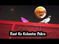 Raat Ko Mobile Number Wala Kabootar Pakra | Hashim Mahmood Pigeons