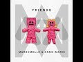 Marshmello & Anne-Marie - FRIENDS (Greek Lyrics)