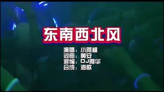 小阿枫《东南西北风》DJ阿华 KTV 导唱字幕 （备有伴奏视频）