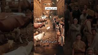 سور کی پیدائش کب ہوئی؟#islamicstatus #trending #history #ytshorts #youtubeshorts #islamics#facts