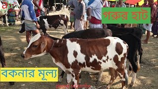 হযরতপুর গবাদি পশুর হাট|বকনা বাছুরের দাম জানুন|তৃতীয় পর্ব