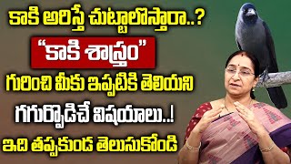 Ramaa Raavi - కాకి శాస్త్రం | Ramaa Raavi latest Videos 2022 | Ramaa Raavi New Videos |SumanTV Women