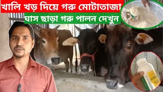 শুধু মাত্র খড় দিয়ে কম খরচে গরু মোটাতাজা | হাড্ডি গরু মোটাতাজার সহজ উপায় | Sammi Agro