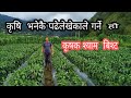 कृषि  भनेकै पढेलेखेकाले गर्ने हो  श्याम  बिस्ट  #krishi #खेती #किसान #agriculture #nepal