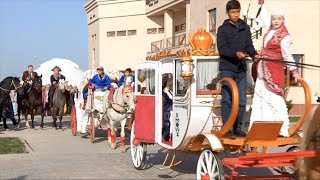 «Наурыз» керуені» ақ бүрку салтымен бастау алды