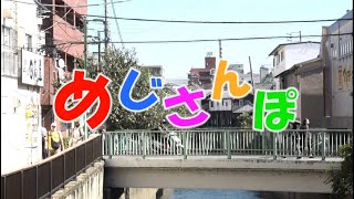 【2021年度 目白大学 桐和祭】めじさんぽ