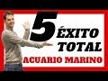 5 COSAS IMPORTANTES para tener ÉXITO con tu ACUARIO MARINO🐠