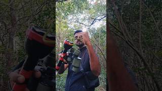 Snake Catching At Mani Forest Camp Trek #shorts #viral #wildlife