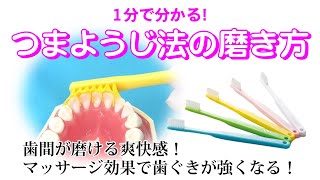 1分で分かる！つまようじ法の磨き方